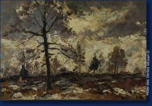 Paysage De Fagnes