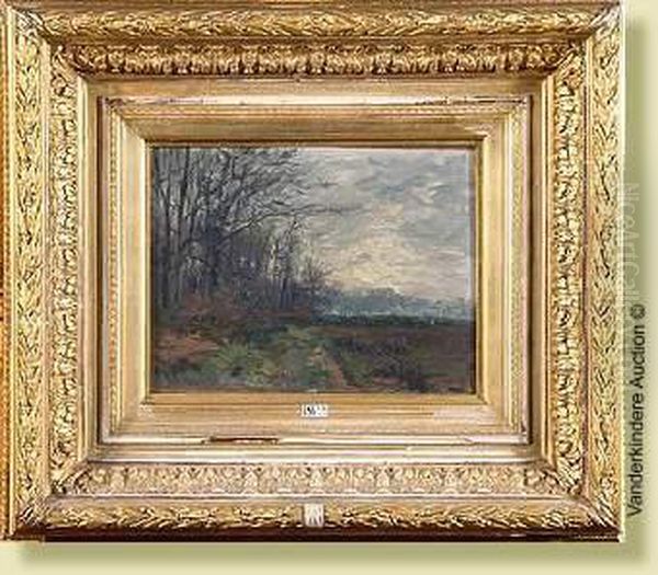Paysage D'automne - view 1