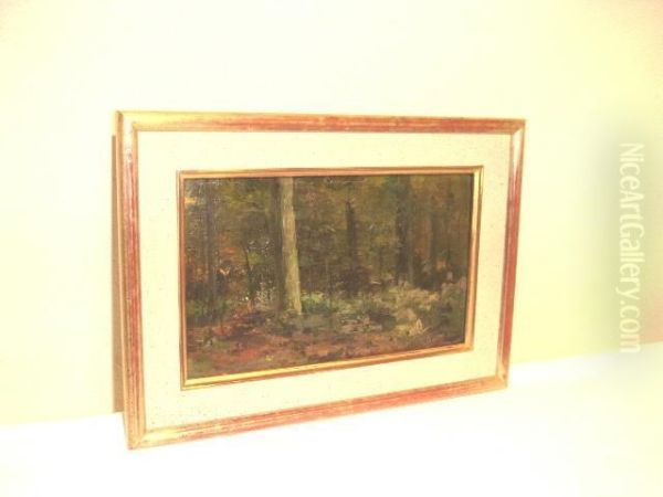 Sous-bois - view 1