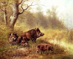 Wild Boar in the Black Forest 1880 by Moritz Muller