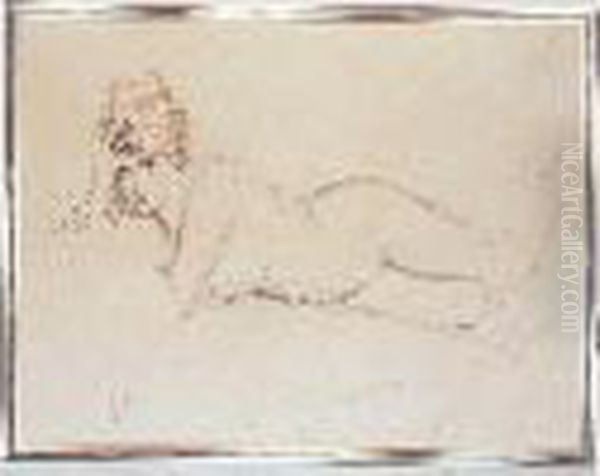 26,5 X 19,5 Cm - view 1