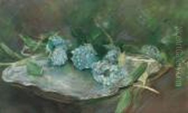 Les Hortensias - view 1