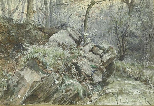 A Kingfisher Flying Over A Stream In A Wooded Landscape - view 1
