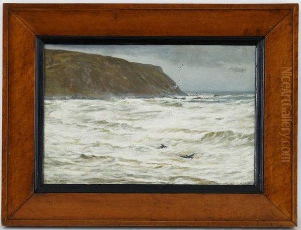 Coast Of Scotland - view 1