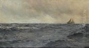 The Deep Sea Rain The Deep Sea Rain