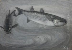 Two Grey Mullet, Swimming. by Charles Napier Hemy