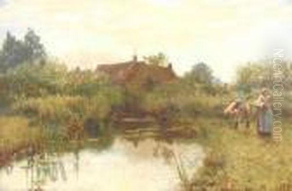 Reed Cutting - view 1