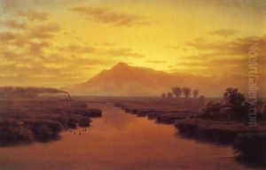 Mount Tamalpais from Napa Slough