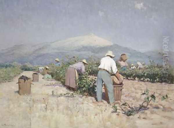 Vintage Harvest in Provence 1890 - view 1