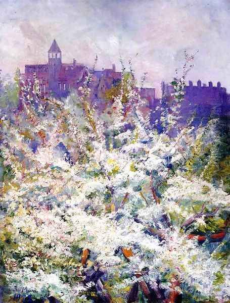 Spring Trees in Blossom, Boston - view 1