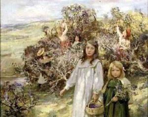 Gathering Blackberries