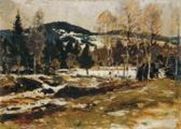Winter Near Hinterzarten - view 1