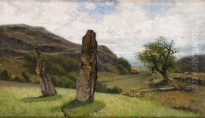 Bautastenar I Bohuslan by Olof Hermelin