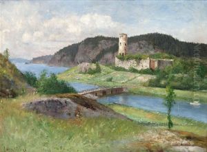 Stegeborgs Slottsruin by Olof Hermelin