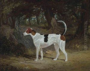 A Favourite Hound by John Frederick Herring Snr