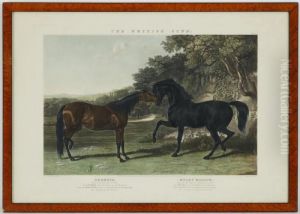 The Hunting Stud Et The British Stud by John Frederick Herring Snr