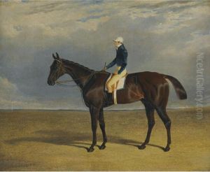 Margrave, A Liver Chestnut Racehorse With Jockey James Robinson Up, At Doncaster