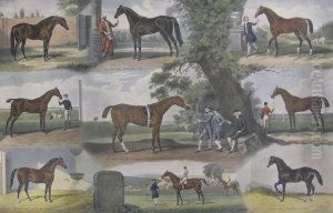 "fathers Of The Turf by John Frederick Herring Snr