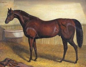 A Horse In A Stable A Horse In A Stable