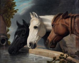 The Elder (1795-1865) The Elder (1795-1865)