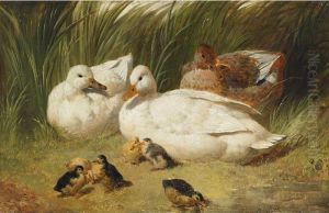 Family Of Ducks by John Frederick Herring Snr