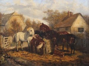 Horses In A Paddock
