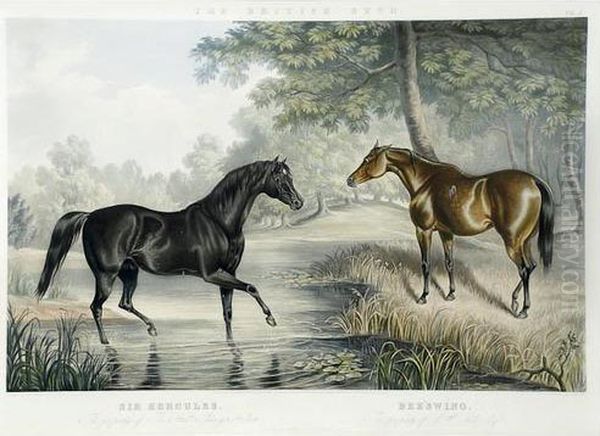 Portraits Of Celebrated Stallions Andmares - view 1