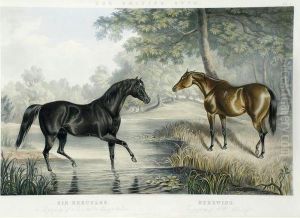 The Britishstud: Portraits Of Celebrated Stallions And Mares by John Frederick Herring Snr