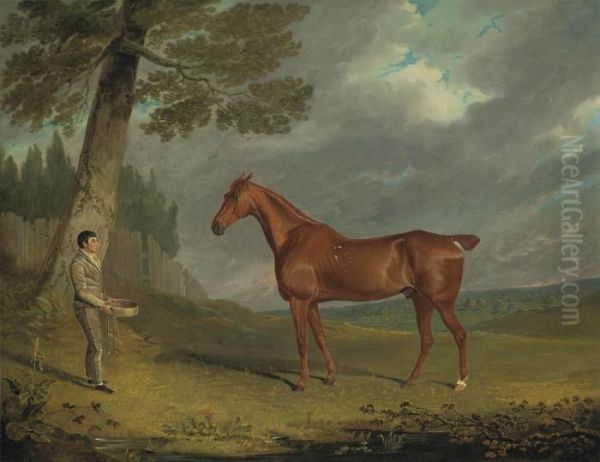 A Chestnut Hunter And A Groom In A Wooded Landscape - view 1