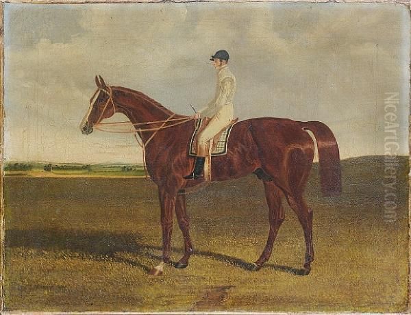 A Bay Racehorse With Jockey Up - view 1