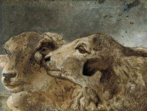 Study Of Sheep by John Frederick Herring Snr