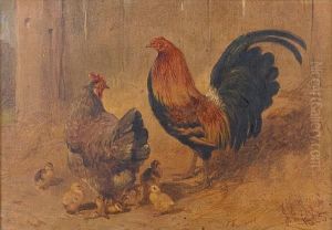 A Black Breasted Red Cockerell With Hen Andchicks