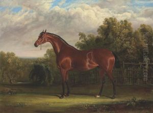 Negotiator, A Bay Racehorse In A Landscape