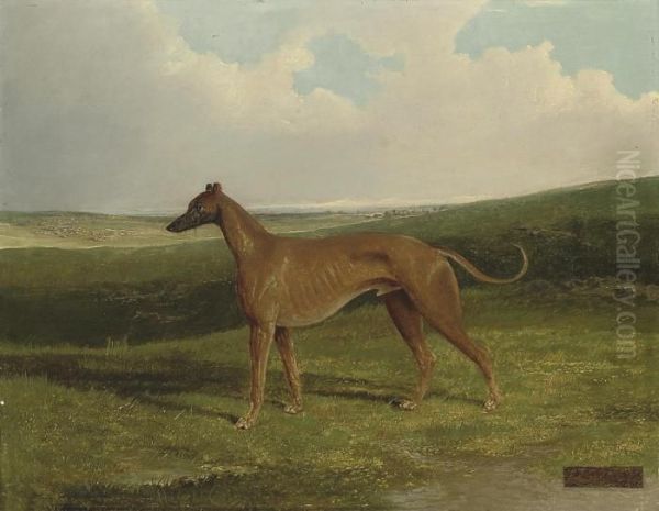 A Champion Greyhound In An Extensive Landscape - view 1