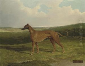 A Champion Greyhound In An Extensive Landscape