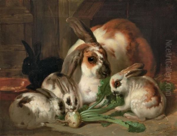 Rabbits In An Interior - view 1