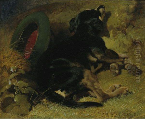 A Dog Sleeping Near A Hat On A Grassy Bank - view 1