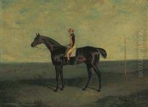 Mr Ralph Riddell's Dr Syntax With Robert Johnson Up Mr Ralph Riddell's Dr Syntax With Robert Johnson Up