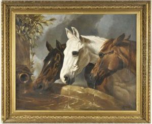 Trois Chevaux A L Abreuvoir