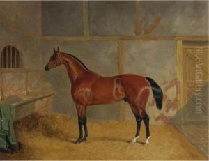 Dr. Caius, The Property Of The Earl Of Eglinton