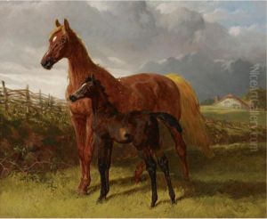 A Chestnut Mare And Foal In A Field A Chestnut Mare And Foal In A Field