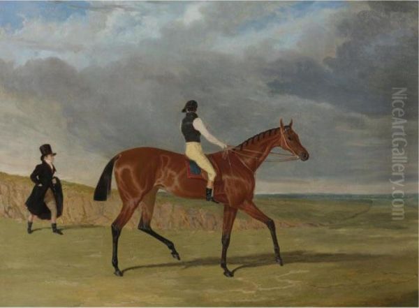 The Hon - view 1