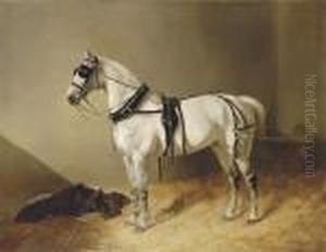 A Grey Carriage Horse In A Stable by John Frederick Herring Snr