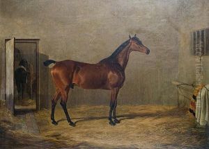 Study Of A Horse by John Frederick Herring Snr