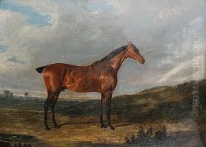 A Horse, Thought To Be Called Thyrsis, In Alandscape