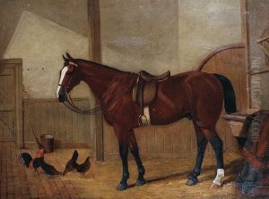 A Chestnut Hunter In A Stable