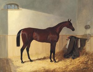 G.w. Gratwicke's Bay Colt