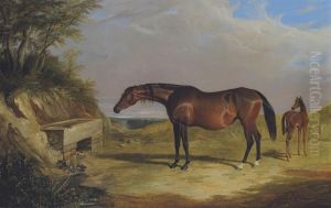 A Mare And Foal In A Park, Probably by John Frederick Herring Snr