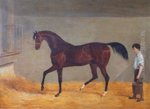 Figaro by John Frederick Herring Snr