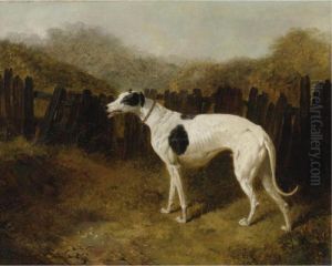 A Greyhound In A Landscape